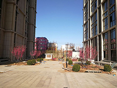 公園景觀(guān)